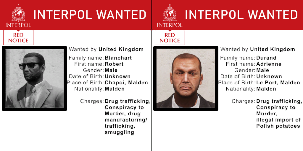 The Red Notices in Question